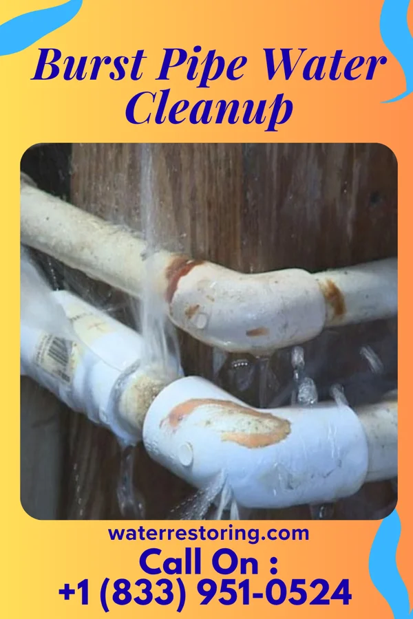 Burst Pipe Water Cleanup in Eagle City, OK