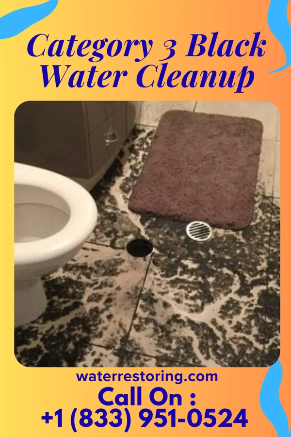 Category 3 Black Water Cleanup in Eagle City, OK